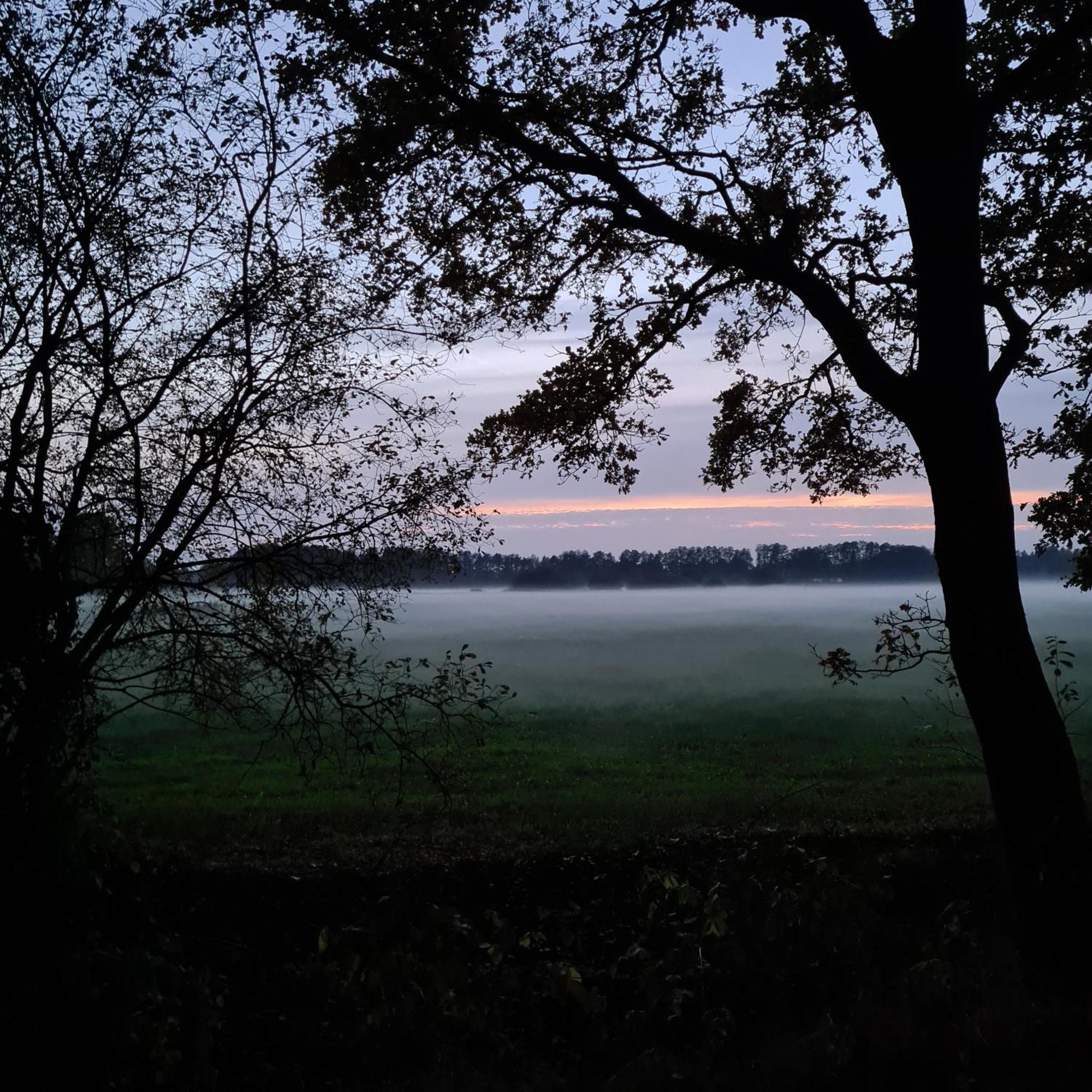 Fewo-Veronika-Apen Kültér fotó